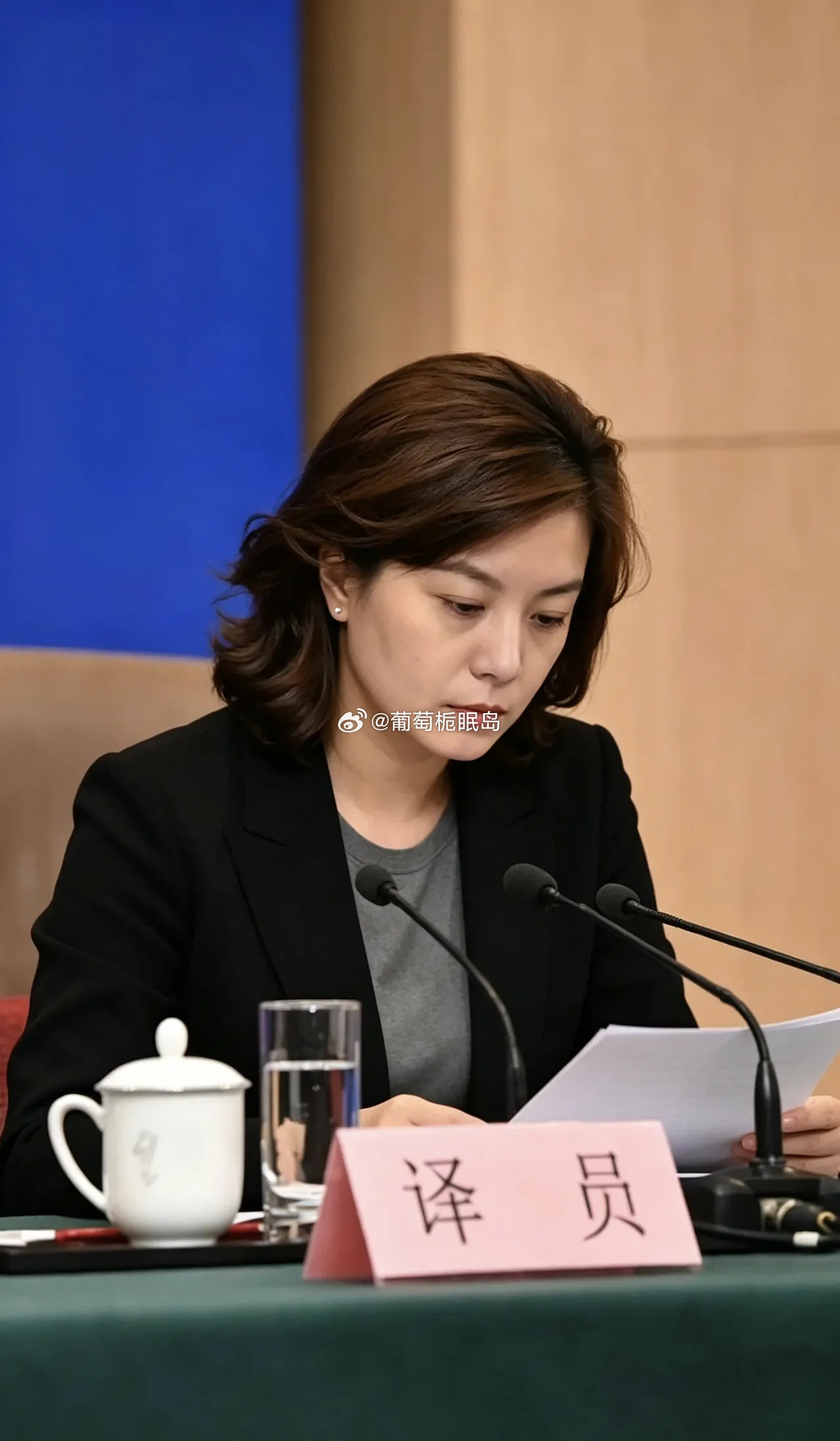正在工作的张京，翻译界的女神。仪态端庄，气质优雅，知性温婉，再好的形容都不为过，