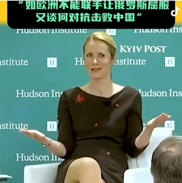 不愧是被捧上天的外交天才卡拉斯，一套逻辑玩得行云流水，让人叹为观止。她一眼看