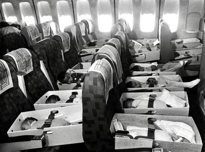 老照片📷婴儿空运行动OperationBabylift1975年4月越战末期