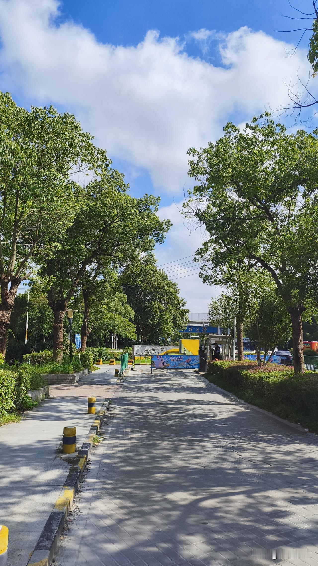 昨天晚上开始，雨下的好大，南京这雨下得没完没了，今天早上温度才25度，真有秋