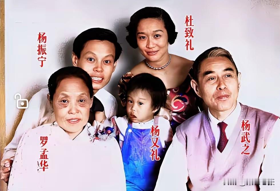 杨振宁的一生可谓波澜壮阔。他父亲杨武之作为著名数学家，家国情怀极重，所以对他放弃