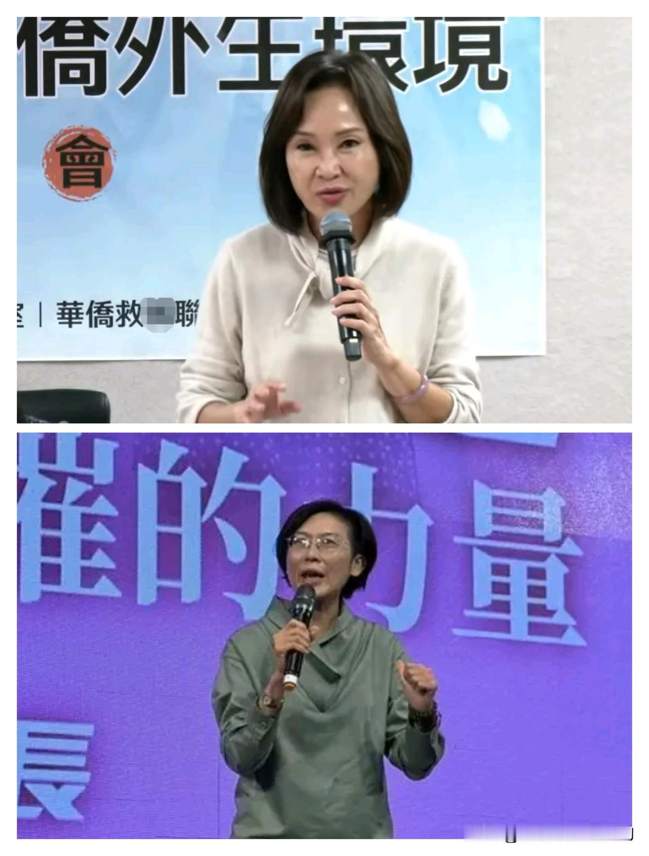 真是可笑！民进党林岱桦和国民党柯志恩，明明是高雄市长选举的竞争对手，现在居然成了