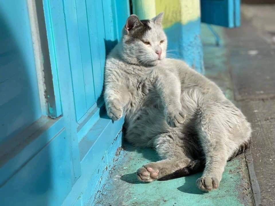 生活苦吗，都习惯了吧...