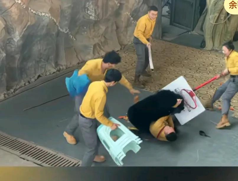 杭州野生动物园黑熊表演事件发生后，只见男子在跟黑熊表演节目时，黑熊突然发狂，抱