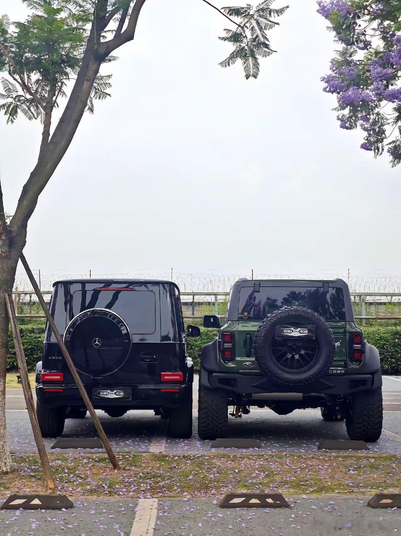 在大G面前气场毫不逊色，甚至有过之而无不及