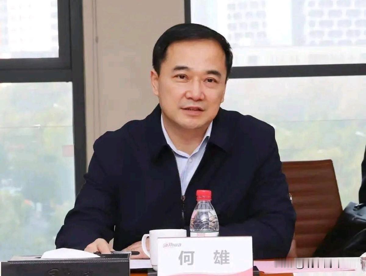原郑州市市长何雄落马！8月20日，根据河南省纪委监委消息，河南省政府副秘书长、办