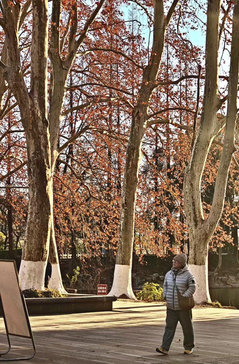 活到这把年纪，总算琢磨透一个理儿：这辈子甭管你咋活、咋做，都不可能让所有人满意。