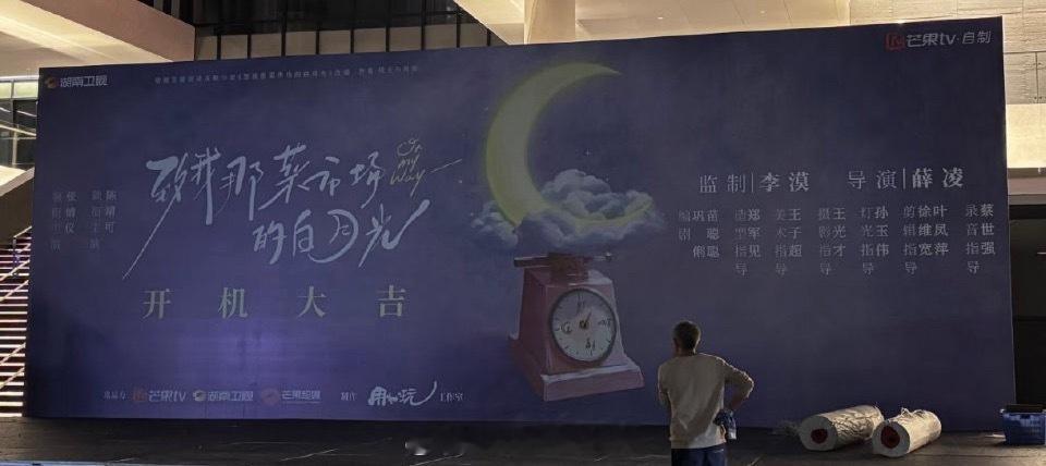 芒果🥭剧集《致我那菜市场的白月光》阵容班底领衔主演：张婧仪领衔主演：陈靖可