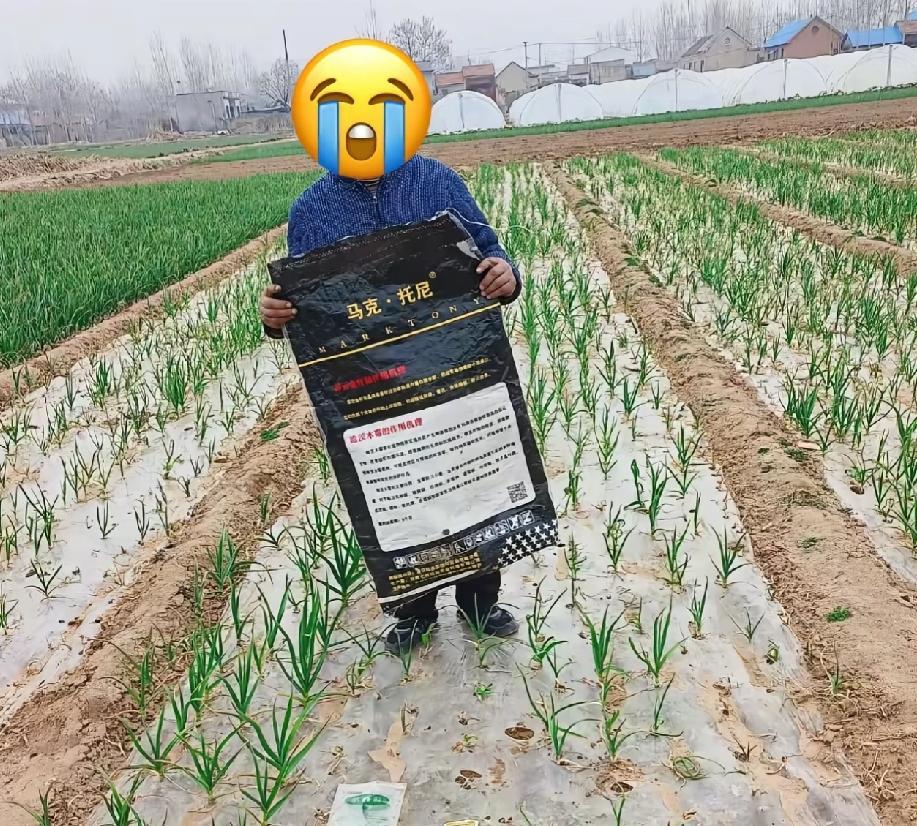 5月22号看到这事儿，心里真是堵得慌。山东济宁泗水县华村镇的22户蒜农，一季大蒜