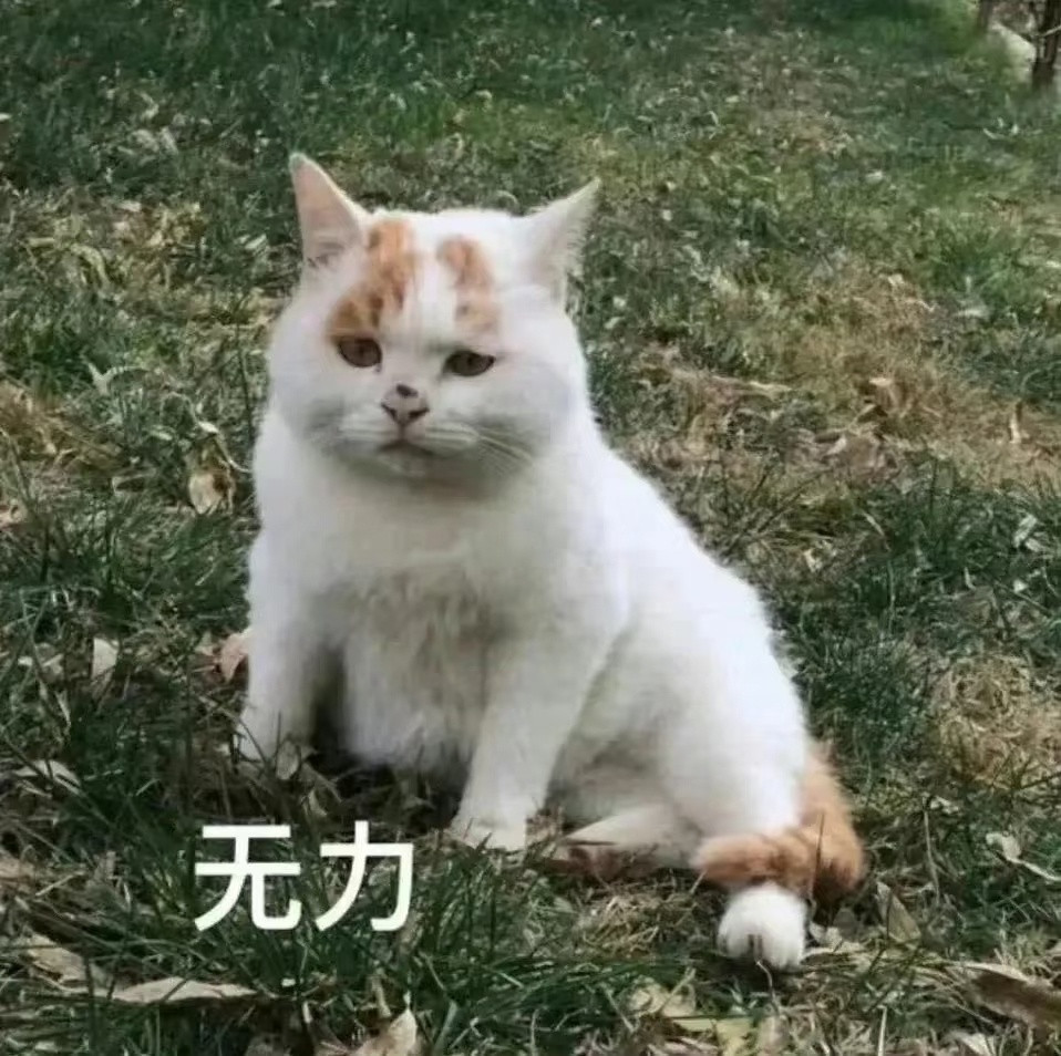 专家说小猫上床是不脏的专家说得对，理论上是这样的，只要它不往我床上抓些奇奇怪怪的