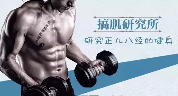 左旋肉碱真能减肥吗? 答案惊炸你!
