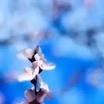 宽恕别人，就是宽恕自己，恕字，上如下心，只有拥有了“如他之心”，才能在理解的基础