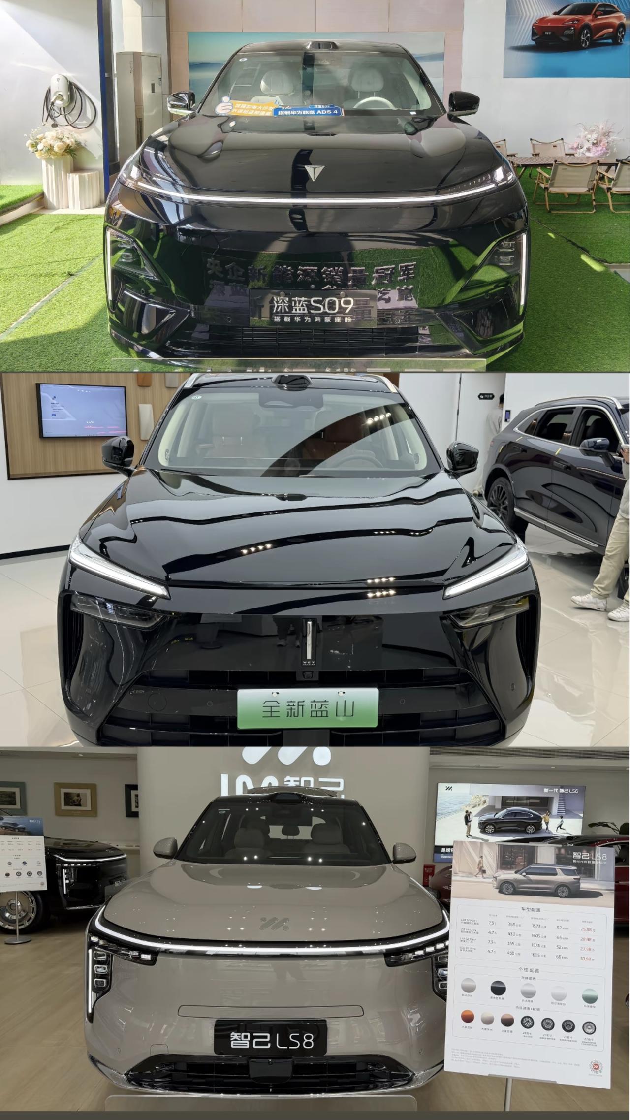 25～30万这个价位选择大六座SUV，可以看看深蓝S09，魏牌蓝山和最近上市的智
