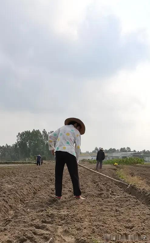 现在农民种地到底能不能赚钱，这事儿还真不好说。像河南息县项店镇李楼村村民沈中龙，