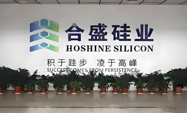 “硅王”合盛硅业, 陷入扩张“后遗症”