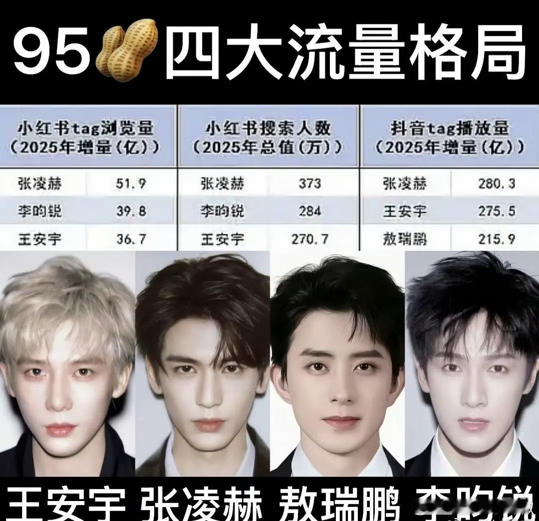 95🥜流量格局，你认同吗？