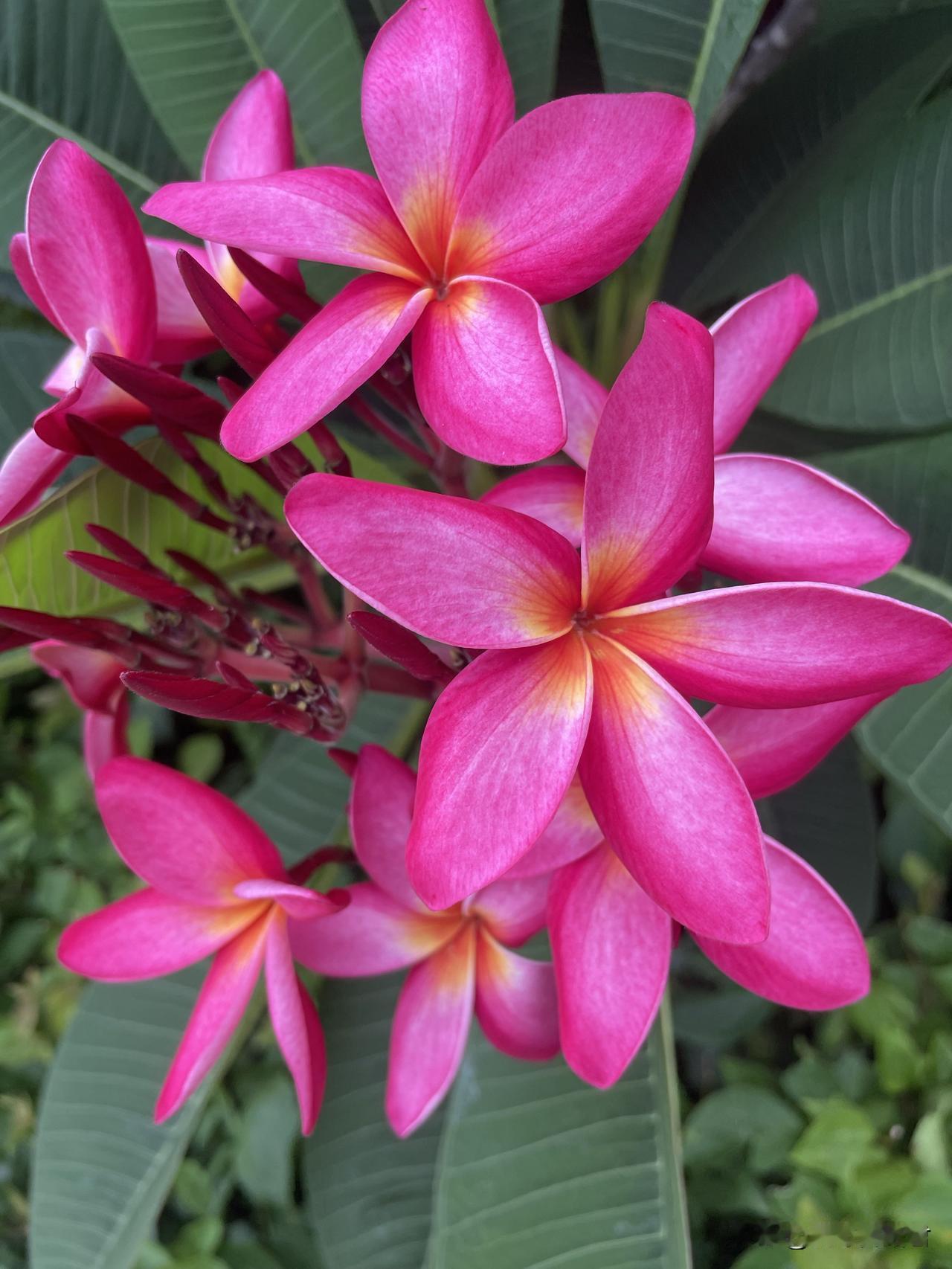 知三当三的结局大抵都是这样，女子真的一点不值得同情。一女子，30岁，和一个46岁