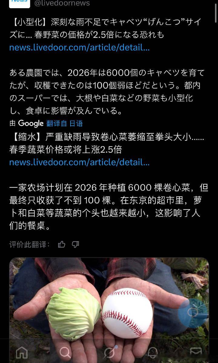 🔻感谢网友分享。🔻往好了想，虽然日本人买到的卷心菜变小了，但是花的钱更多了呀