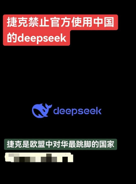 Deepseek正经历严重的双标！欧洲各国接连禁止Deepseek的所有服务，