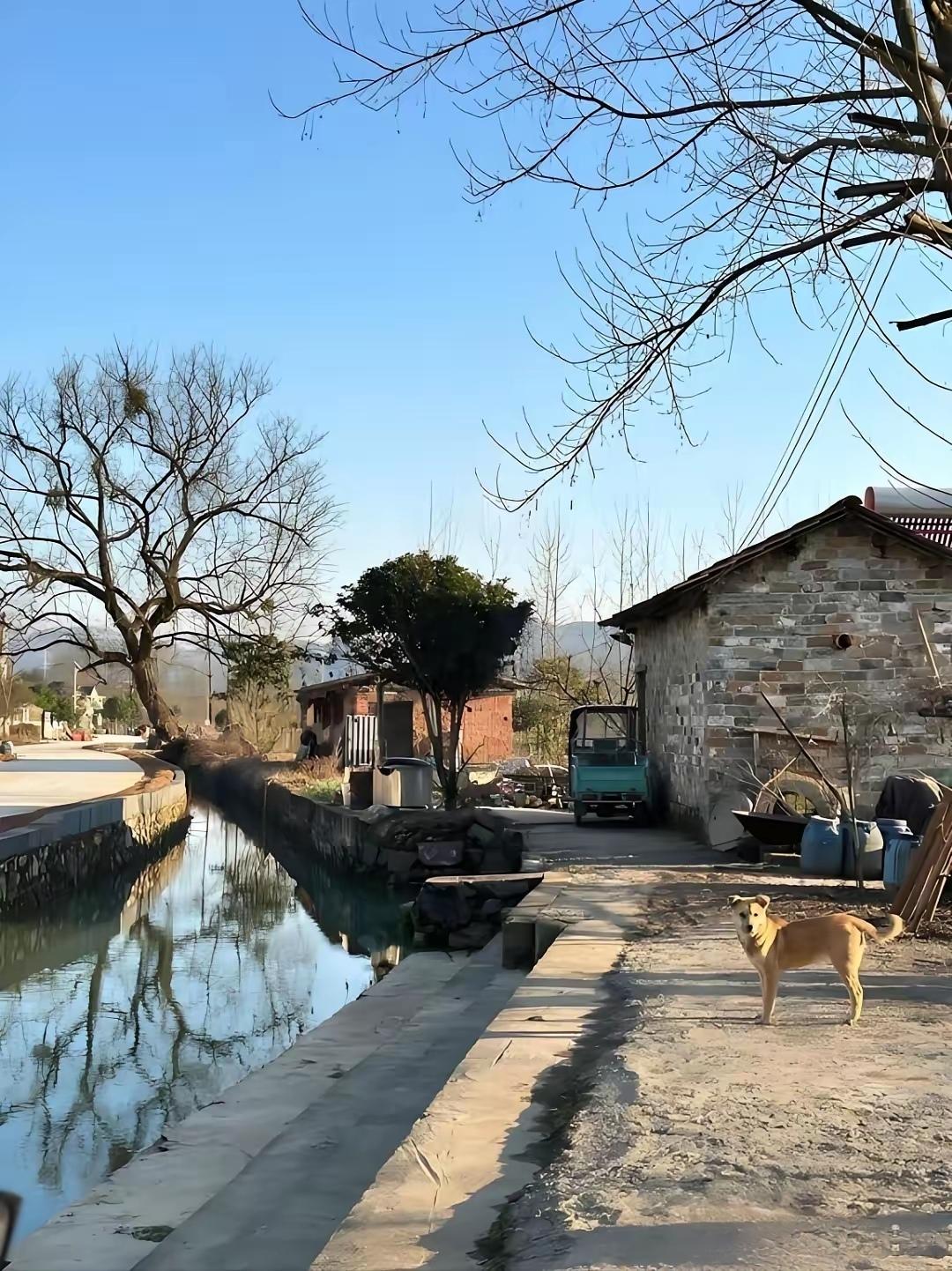 深圳的儿子突然打来电话：“妈，我辞职了，想回家歇一年，啥也不干，行不行？”我