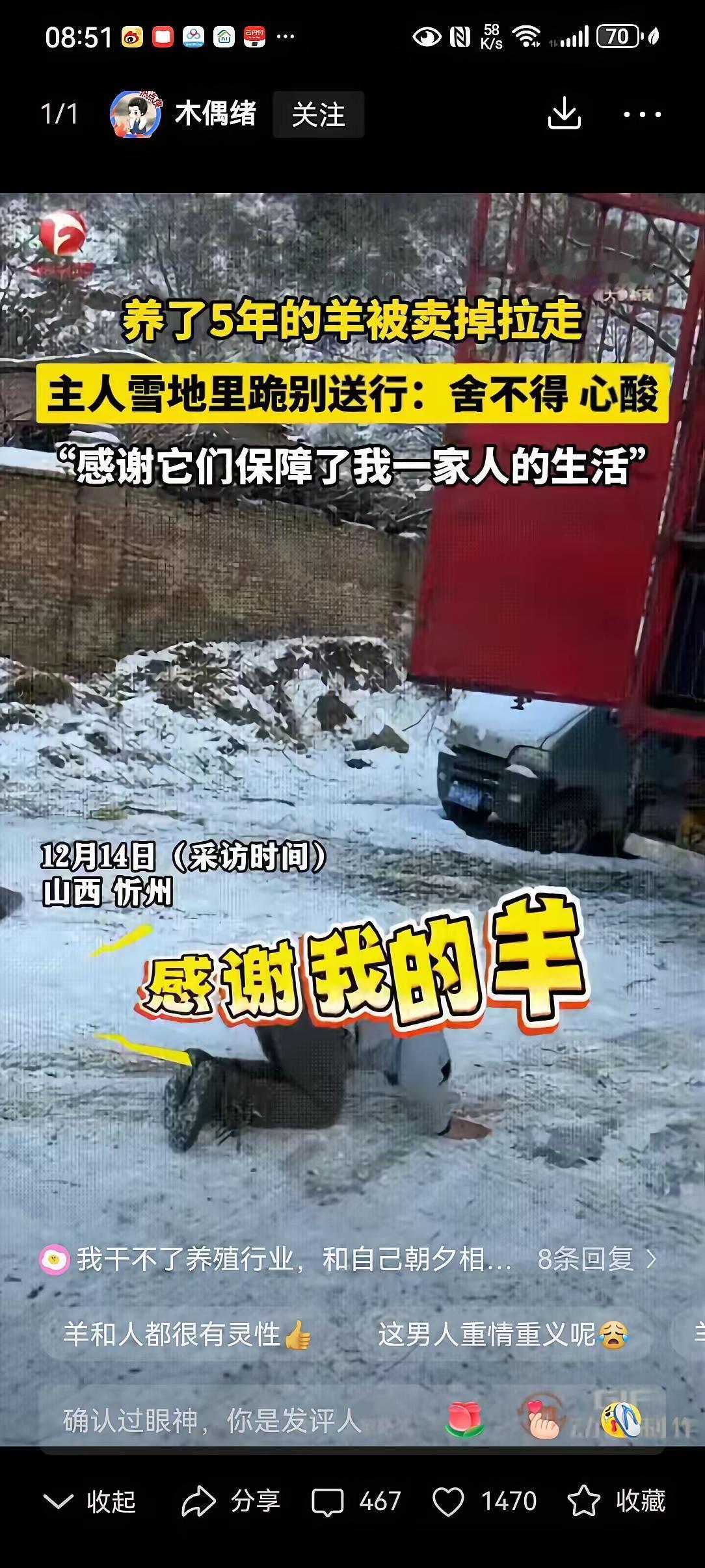 山西忻州一个男人养了5年的羊卖掉了，装车拉走时他跪在地上双手十字合掌，然后给羊磕