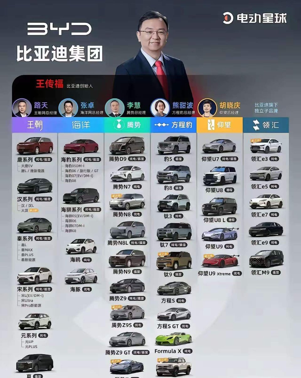 这么多车，都是比亚迪的？比亚迪，厉害了！​
