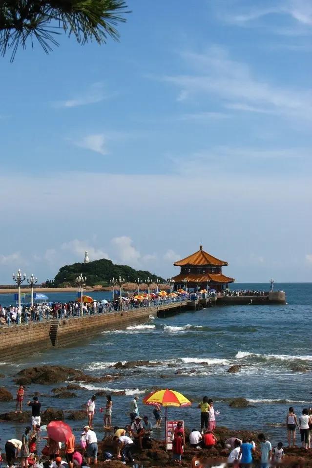 王铎：现在全国很热，唯有青岛凉爽！青岛晚上都得盖被，白天游客非常多。听说，印度