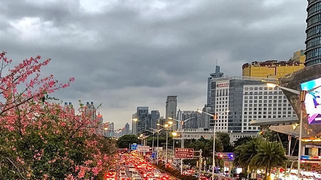 终于离开广西南宁, 结束了半个多月的旅居, 说点真实的感受