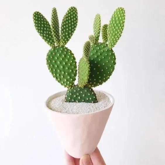 全职妈妈想找工作？别想了！一般全职妈妈想找的工作，都是可以兼顾孩子的工作。