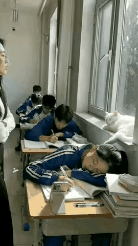 上课犯困有多上头？一女生直接在课堂上睡懵了，老师连着喊她两声都没反应，站旁边愣是
