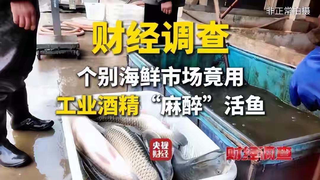 山东临沂“活鱼麻醉”黑幕曝光：你吃的活蹦乱跳的鱼，可能正被工业酒精和三无麻药催命