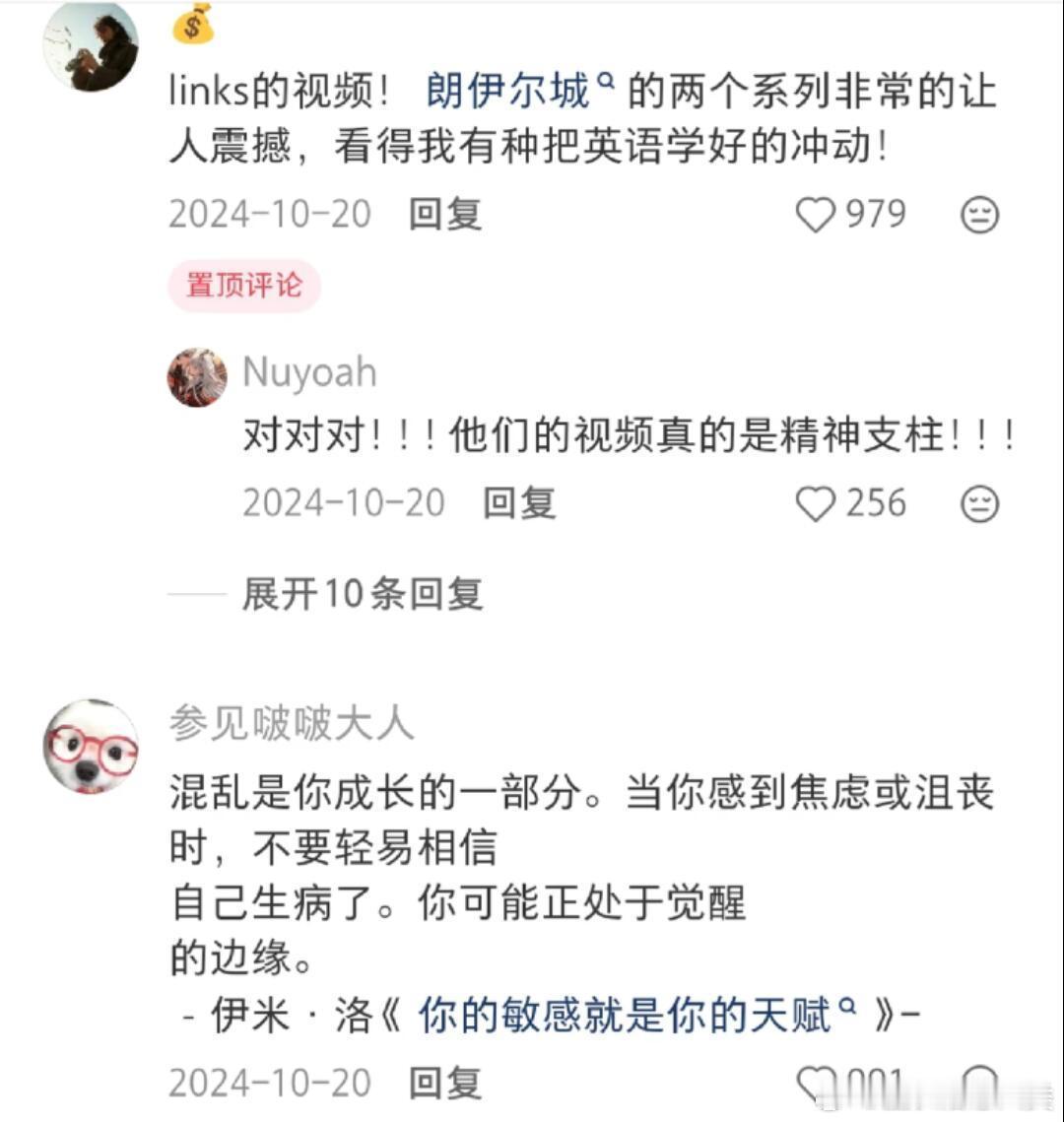 哇塞！大佬们的学习动力真是令人敬畏！