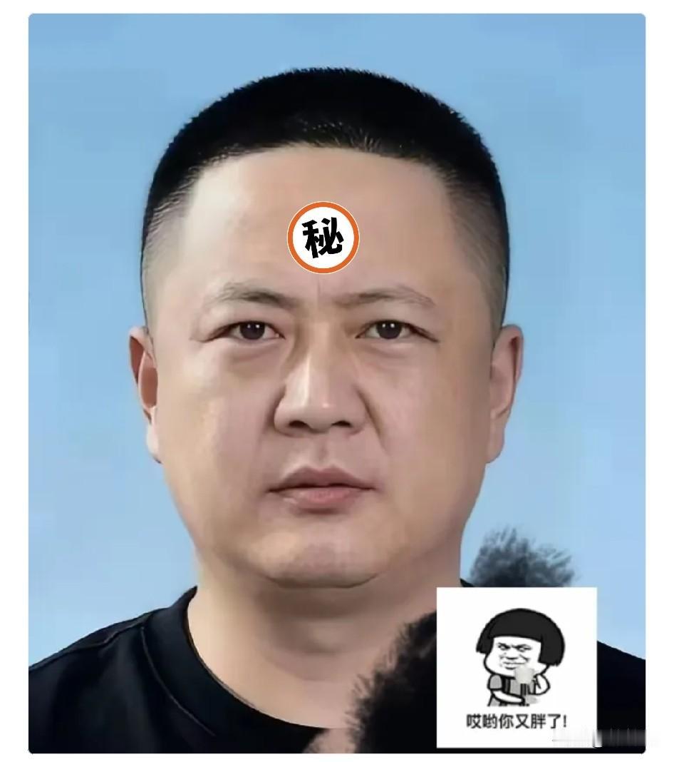 你的判断基本被事件的时间线印证了。东航从第一份通报到第二份通报的转变，更像是在舆
