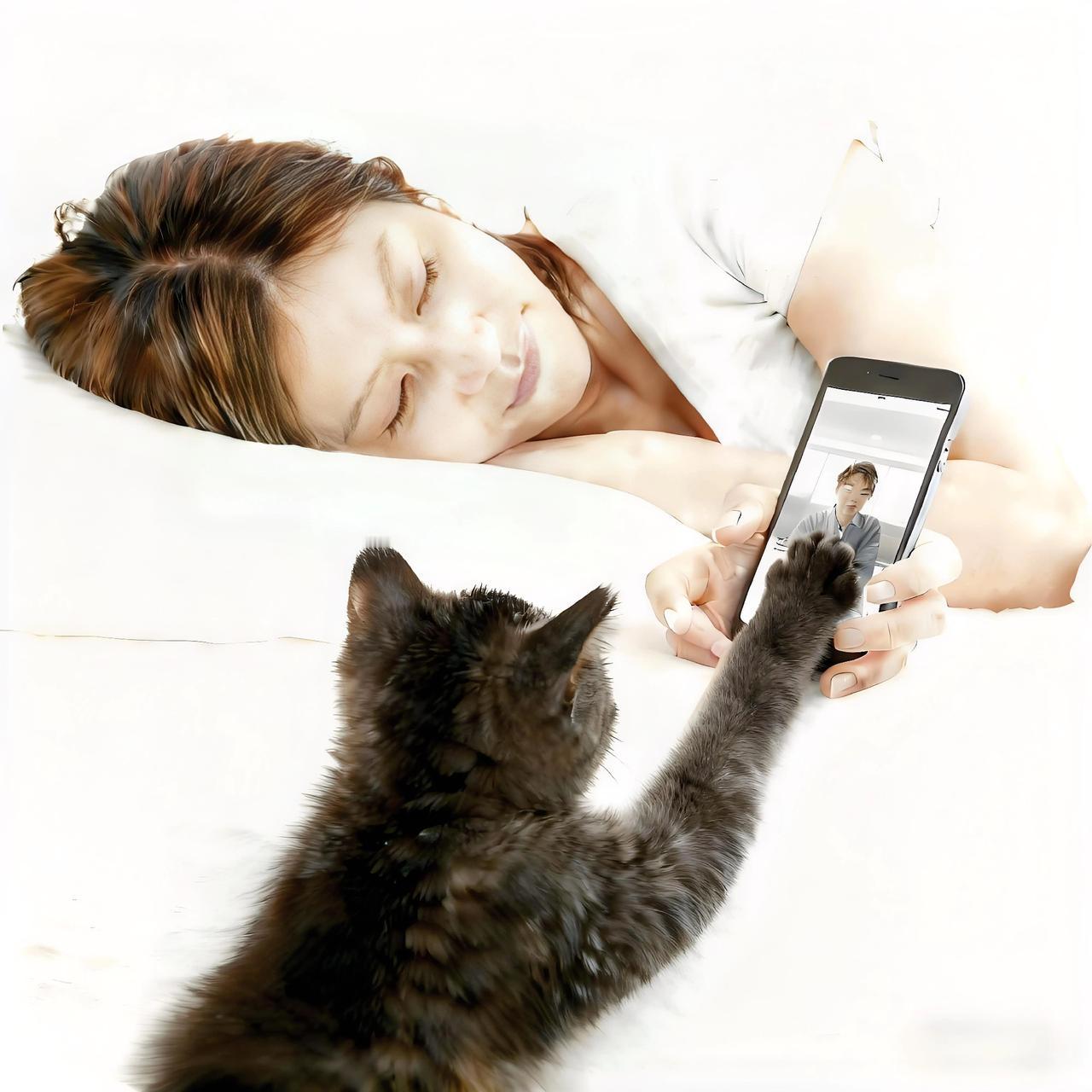 一位女子躺在床上刷视频时犯困睡着醒来后眼前一幕让她直呼神奇——自家猫咪正用