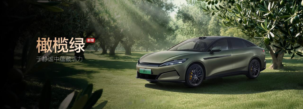 车展报道11：比亚迪王朝网的车型很多，但在这次车展的发布还是有所重点，那就是高