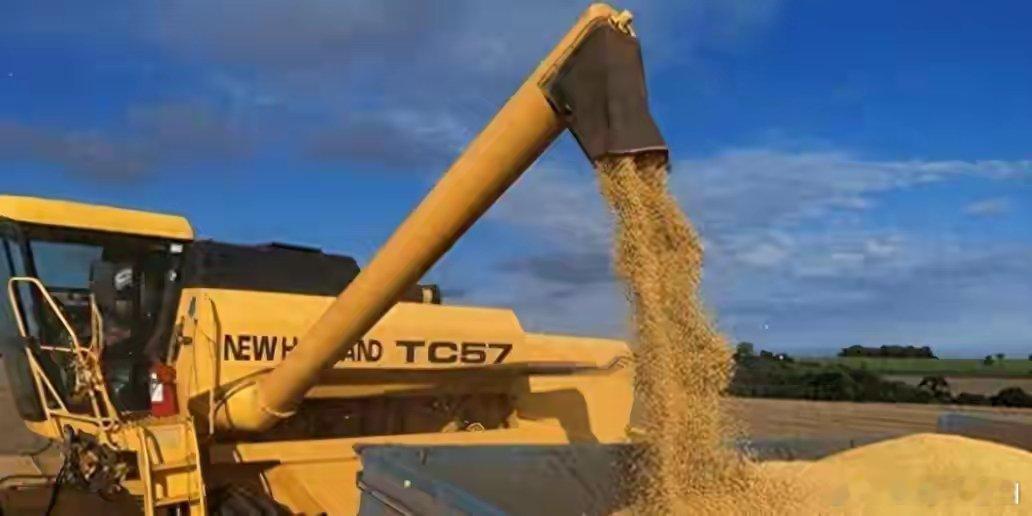 中国拒购涨价巴西大豆，巴西随即反制，并对华发起反倾销调查2025年，中国突然宣布