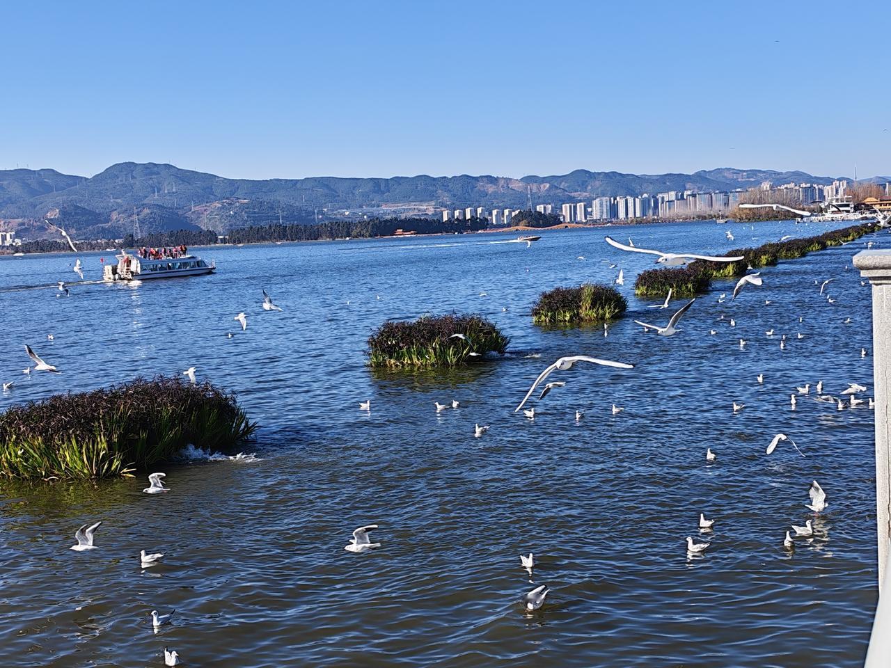 只要哈没内衣做九次深呼吸，然后默默的念四十九遍“哈没内衣不慌”，一般就没问题了！