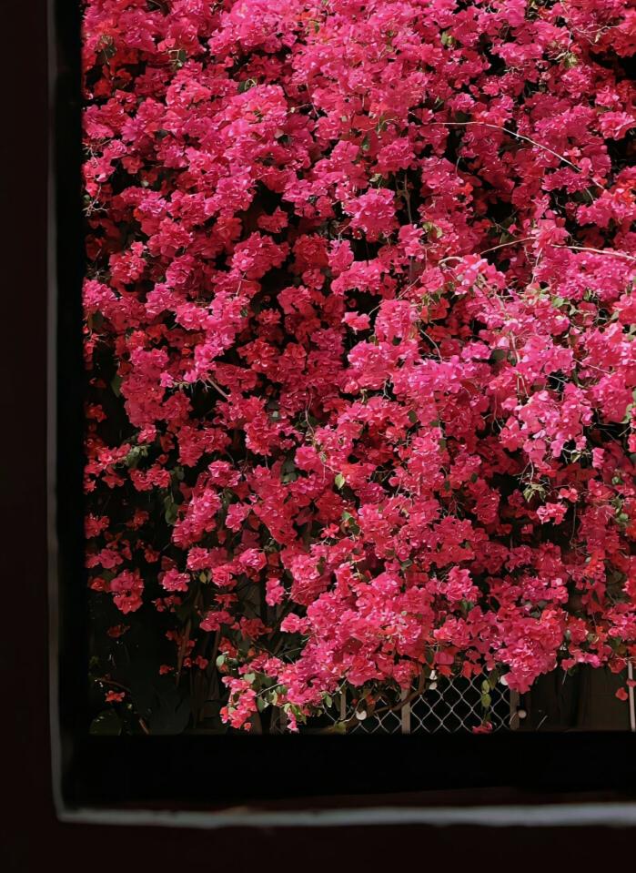 同事A：40岁，工作稳定，有钱有闲，业务爱好：健身，爬山。就因为她没结婚没生