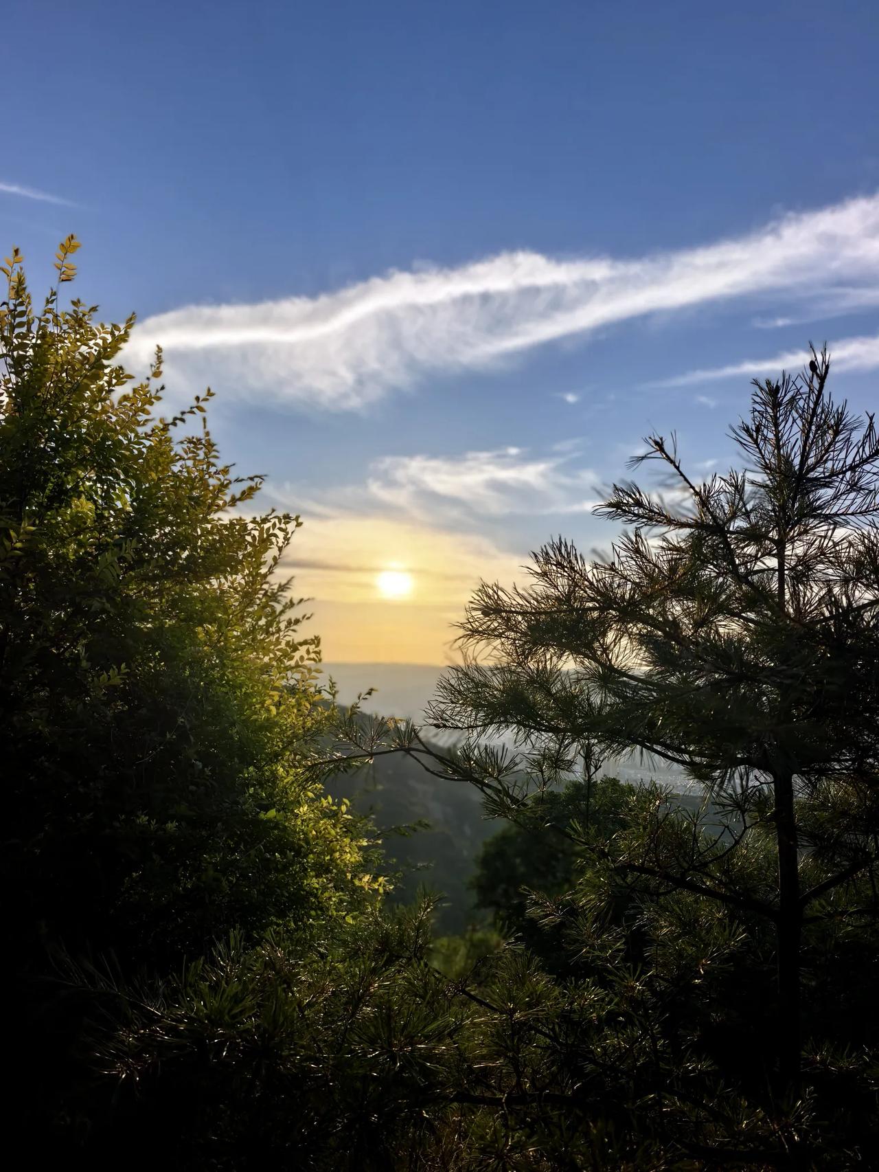 周边的朋友炒股基本上都是炒短线，奔着挣大钱去的。对于我买红利股，他们是不屑一顾，
