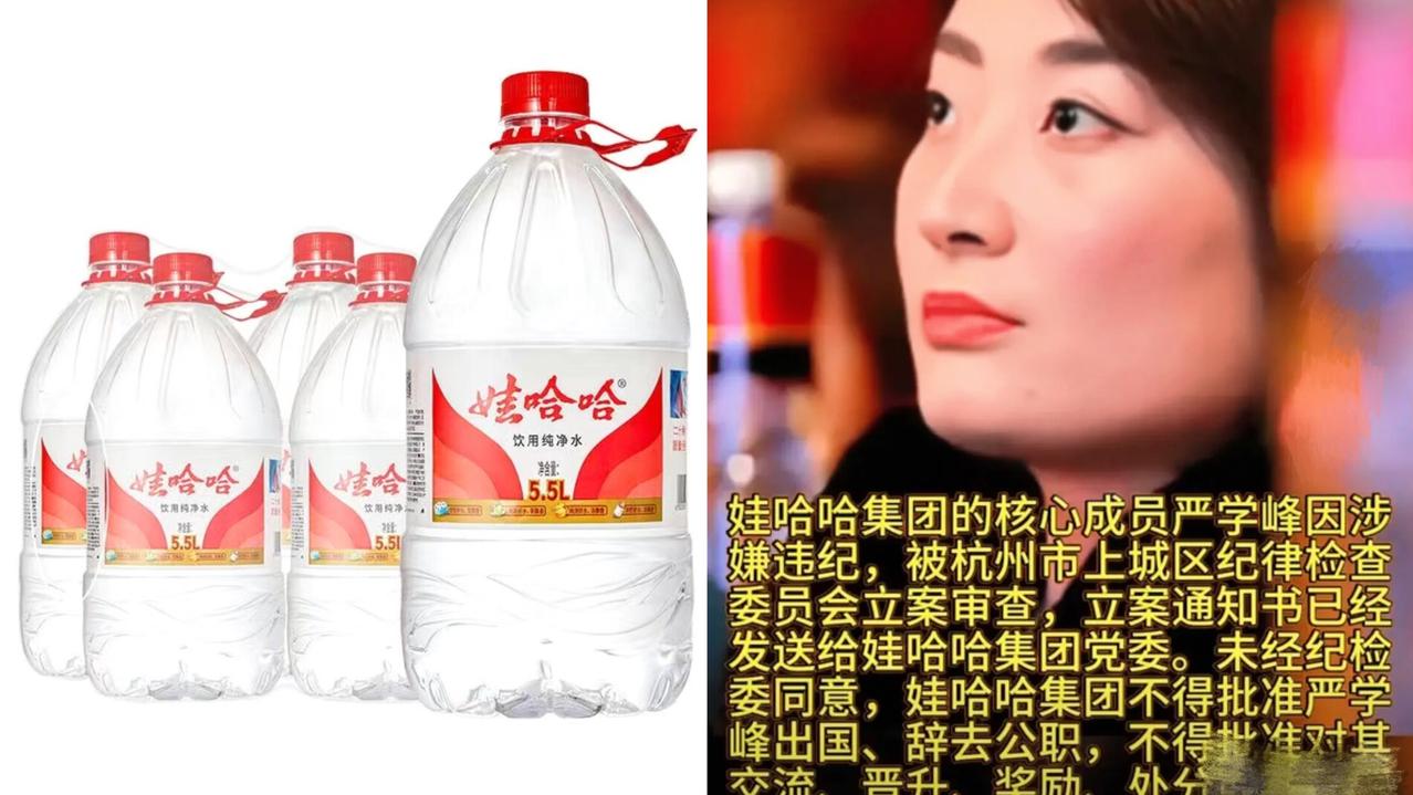 娃哈哈严学峰被查，这哪是简单的个人问题？官方出手这么快，分明是给“动歪心思”