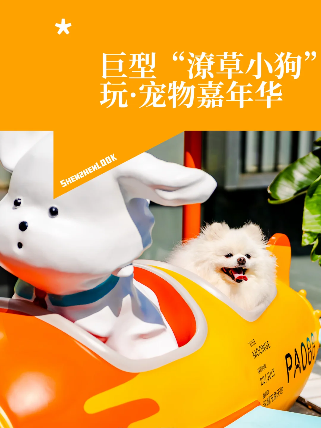深圳遛狗！来万象天地玩吧，全是狗狗