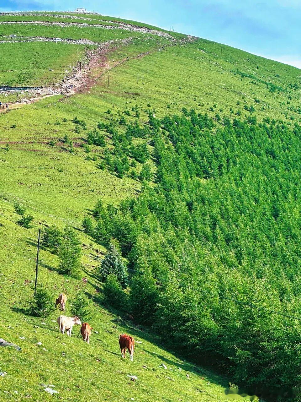 去过一趟五台山，莫名治愈了所有焦虑和内耗