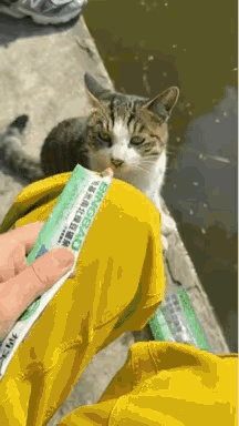 钓鱼佬感动哭了