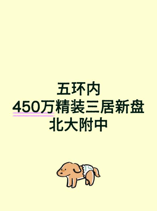 五环内，450万精装三居，书包北大附中