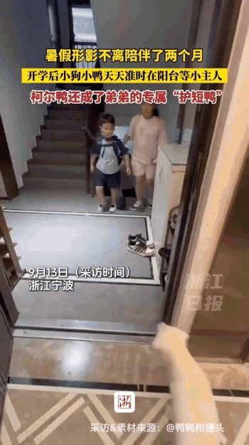 太有灵性了！浙江宁波，俩孩子在暑假，天天跟狗狗和柯尔鸭形影不离。没想到开学才几天