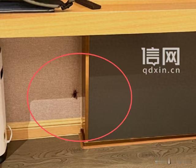 深圳，一男子出差时入住了一家酒店，刚放下了行李，男子准备洗个澡休息，却听到房间里