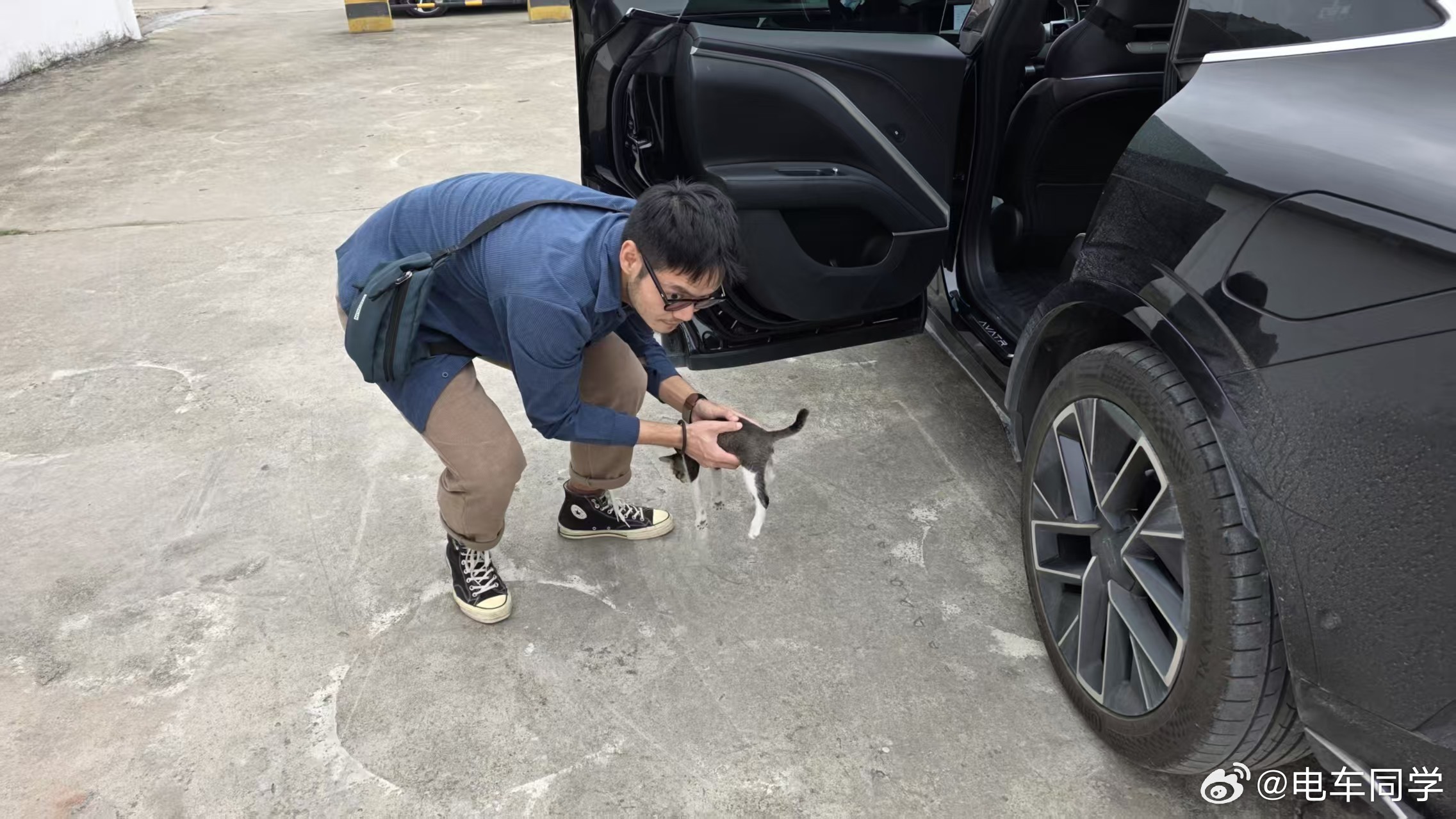 偷猫，巴掌大点儿凶的不行。当然我的姿势也略显猥琐电车同学随便聊