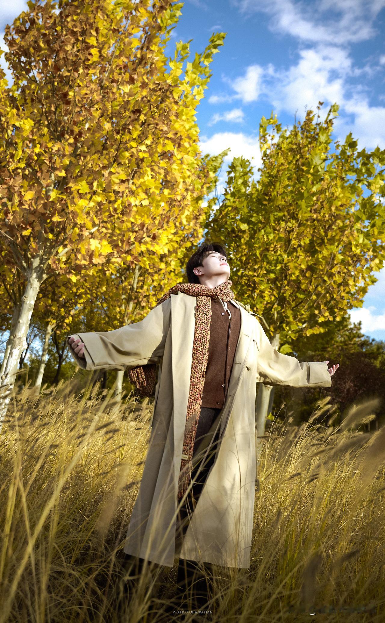 杨洋这组秋日写真，直接把“氛围感帅哥”焊在我手机里了！谁看了不说一句“这才