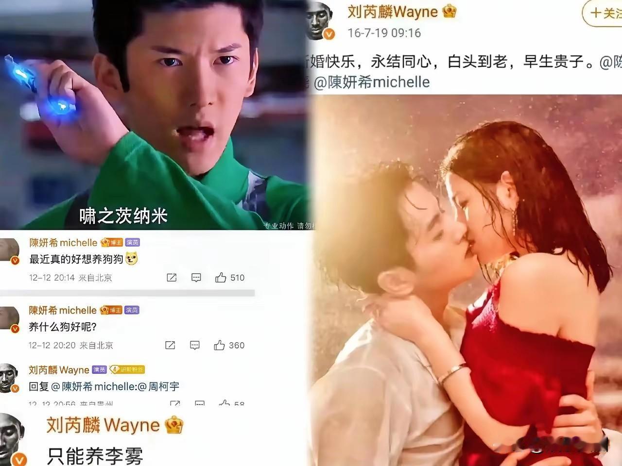 陈妍希:想养条狗狗，养什么狗好？刘內麟:@陈妍希@周柯宇意思很明显啊，