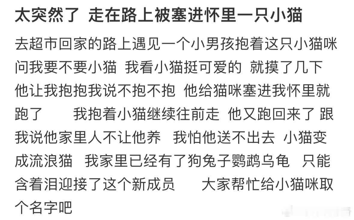 走在路上被塞进怀里一只小猫，大家帮忙取个名字吧🤩​​​